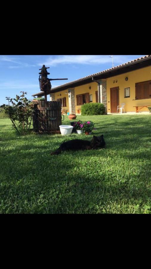 Agriturismo La Noce Bassano Romano Buitenkant foto